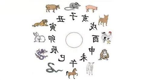 生肖對應