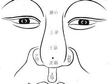 鼻準有痣