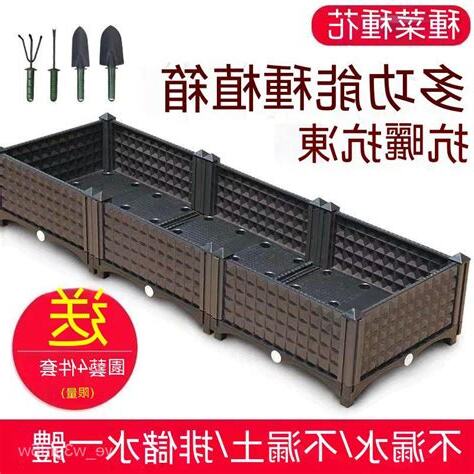 種菜容器
