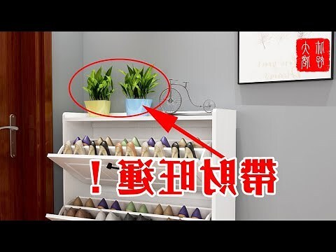 鞋櫃上可以放什麼植物