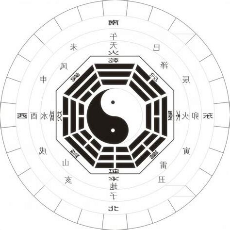 白陽八卦圖