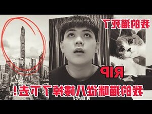 猫死了可以埋吗