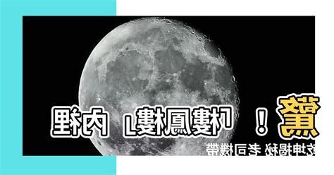 樓鳳樓是什麼