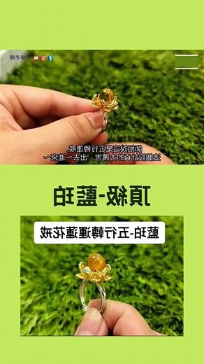 藍珀五行