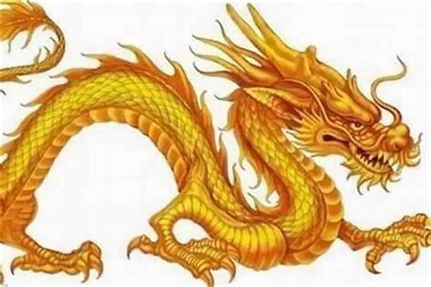 2012是什么龙