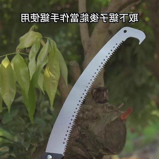樹剪推薦