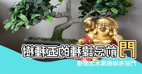 門前樹風水
