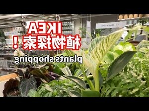 對植物説好話