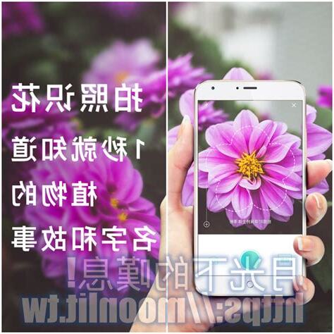 拍照查詢