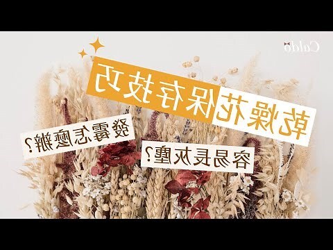 家裡放乾燥花好嗎