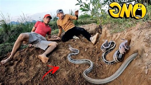 路上碰到蛇