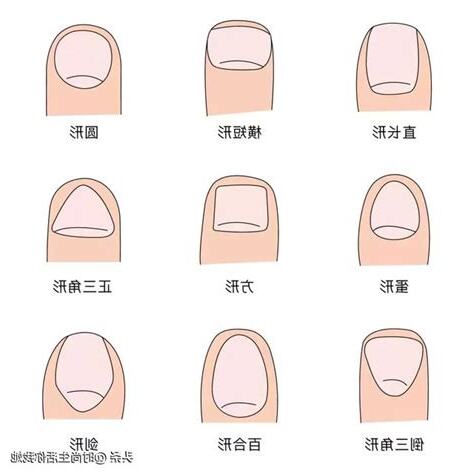 指甲形狀