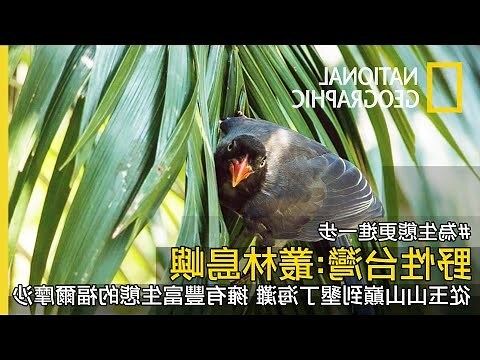 池塘圖片