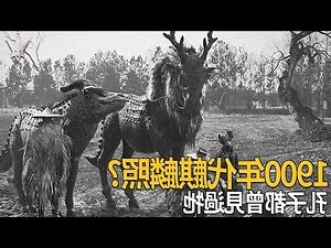 靈獸四大神獸麒麟