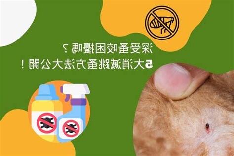 消滅跳蚤的方法