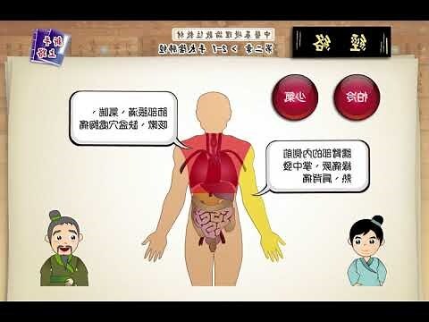 中醫裡面，土是屬於哪一個人的臟腑