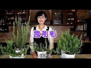 會香的樹