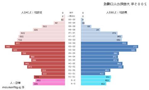 大樹人口