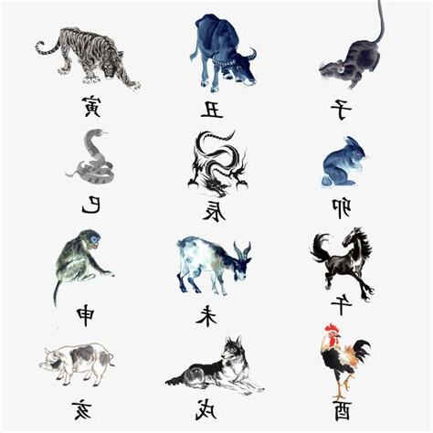 生肖地支