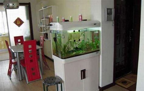 家裡養魚方位