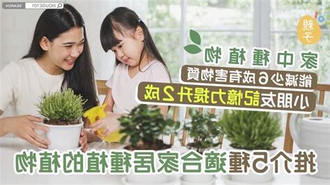 小朋友種植物