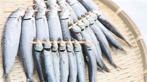 種葉魚