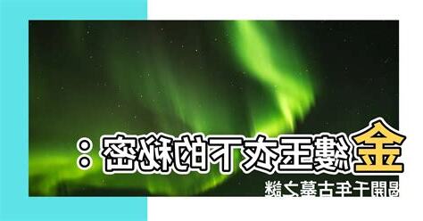 金樓衣