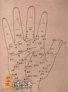 手痣圖