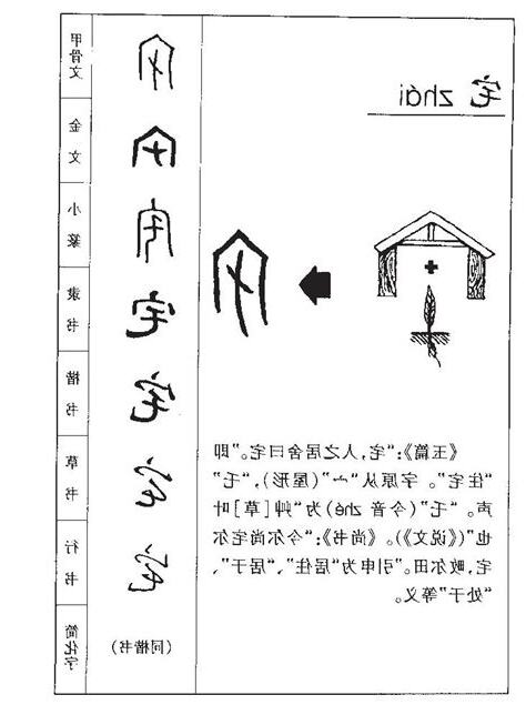 宅宅意思