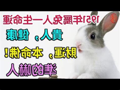 51年屬什麼