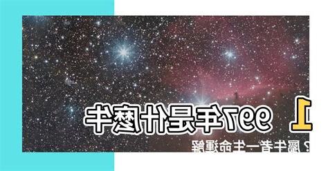 1997年是什麼牛