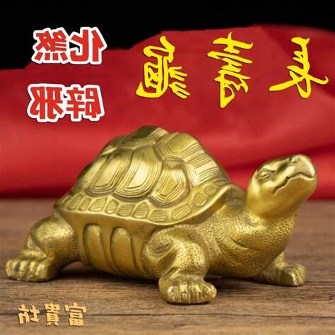 養烏龜招財