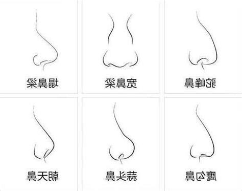 鼻頭有肉男人