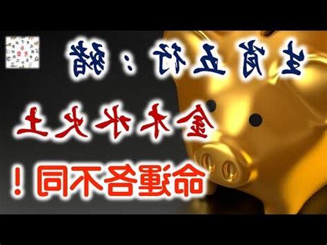 屬豬五行缺什麼