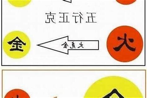 火克金感情