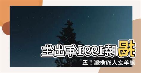 1991年五行屬什麼