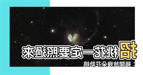 招桃花要放幾朵花