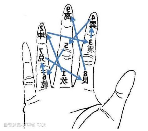 掌中八卦