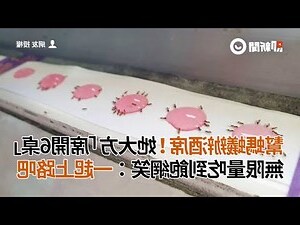 螞蟻辦桌