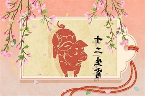 1995年豬
