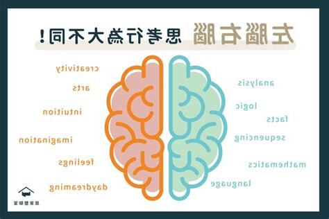 右腦適合工作