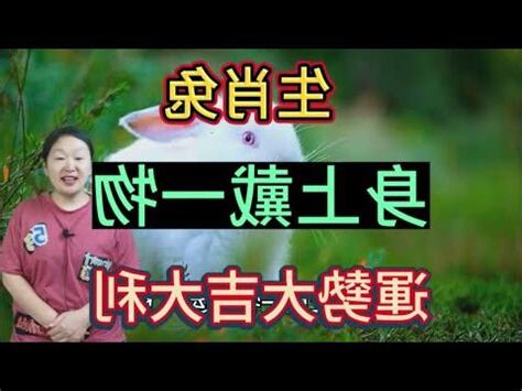 屬兔塔位座向