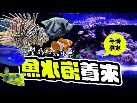 水缸英文