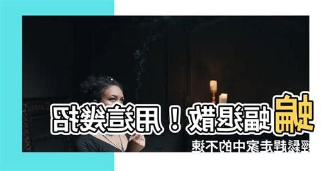 如何趕走蝙蝠