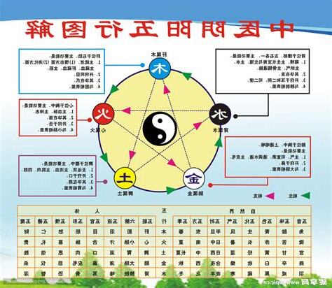 每日五行