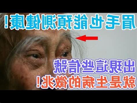 長白眉毛代表什麼