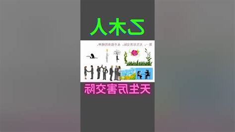 乙木人八字