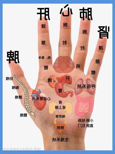 五指對應五臟