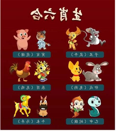 豬的六合生肖