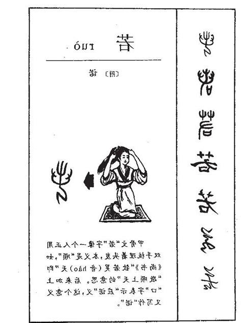 若的意思